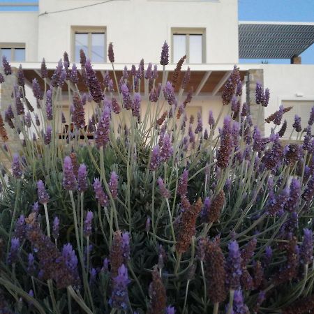 فيلا Nesaea Seafront House Parasporos المظهر الخارجي الصورة